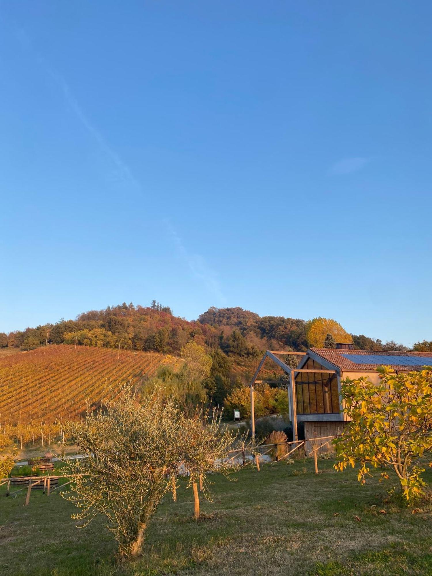 Corte D'Aibo Monteveglio Exteriér fotografie