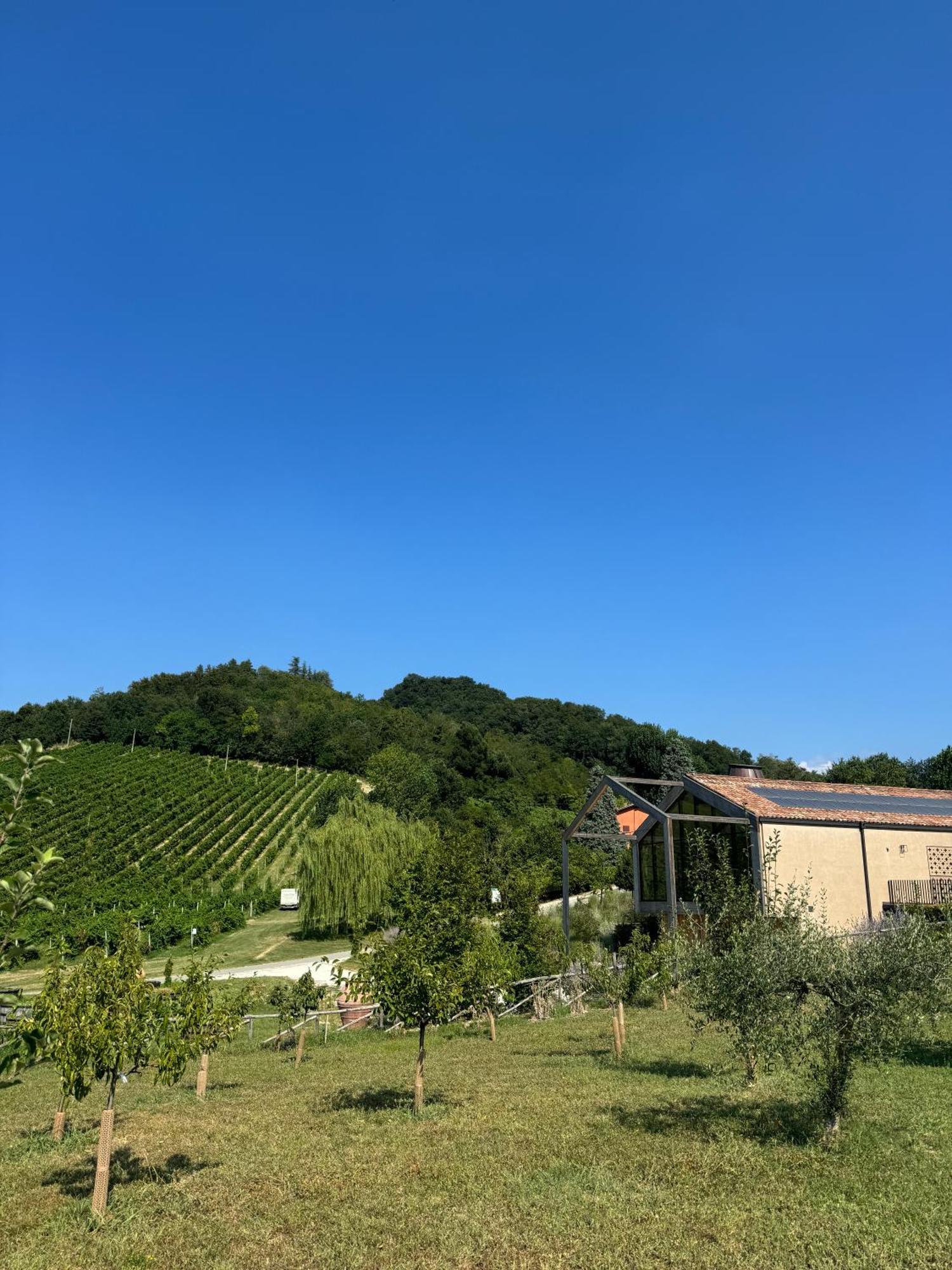 Corte D'Aibo Monteveglio Exteriér fotografie