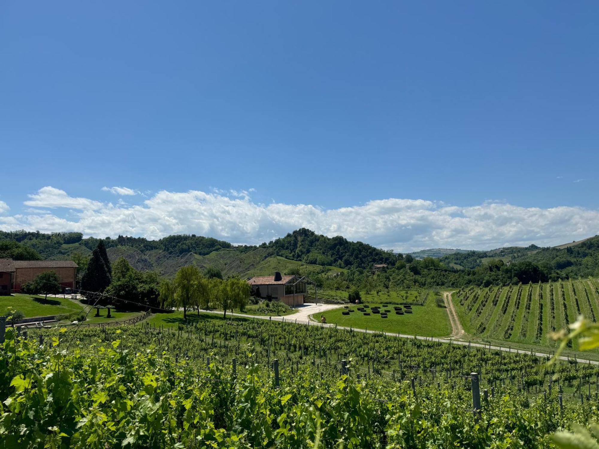 Corte D'Aibo Monteveglio Exteriér fotografie